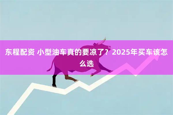 东程配资 小型油车真的要凉了？2025年买车该怎么选