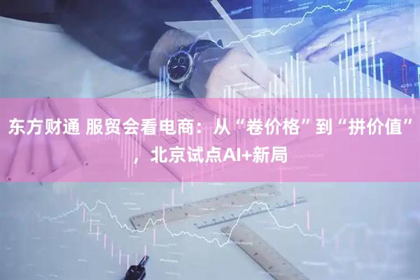 东方财通 服贸会看电商：从“卷价格”到“拼价值”，北京试点AI+新局