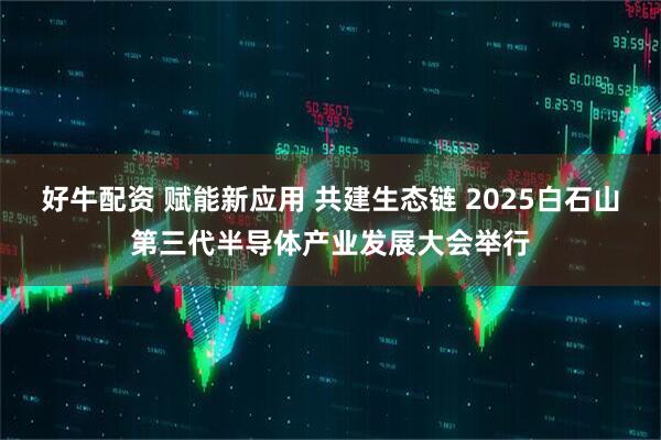 好牛配资 赋能新应用 共建生态链 2025白石山第三代半导体产业发展大会举行